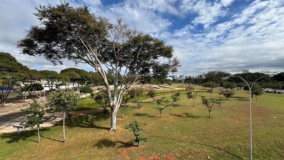 SAFS Quadra (Setor de Administração Federal Sul) - PREDIO SAFS COM 2.590M2 PARA LOCAÇÃO NA PRAÇA PORTUGAL AO LADO DA EMBAIXADA AMERICANA SAS SUL — foto 53
