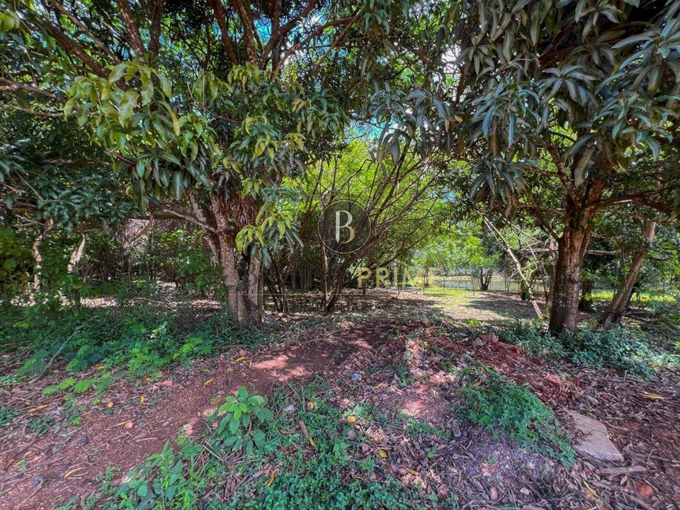 Terreno - Lago Sul, Brasília - Foto 19