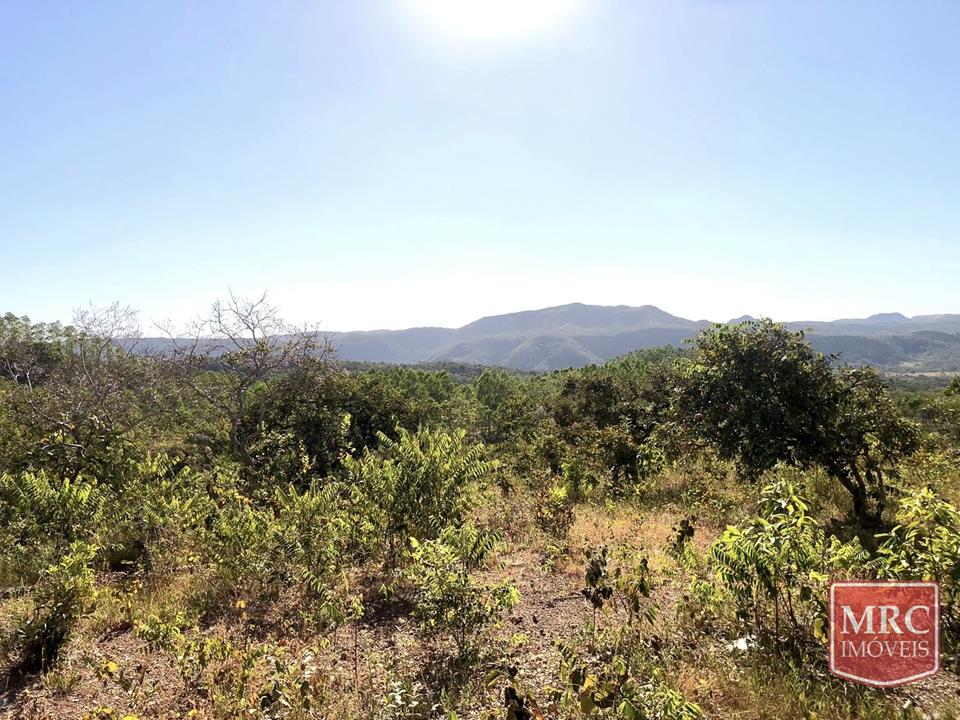 Região de Curralinho - OPORTUNIDADE - CHÁCARA ESCRITURADA - NATUREZA PRESERVADA — foto 3