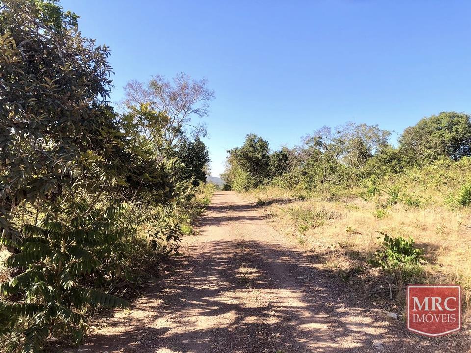 Região de Curralinho - OPORTUNIDADE - CHÁCARA ESCRITURADA - NATUREZA PRESERVADA — foto 4