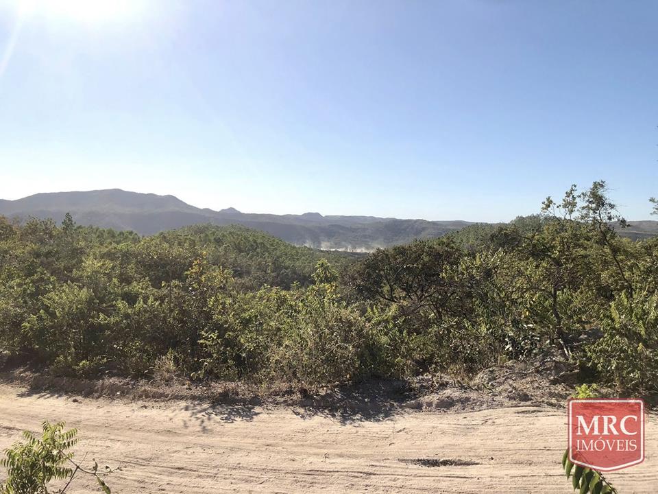 Região de Curralinho - OPORTUNIDADE - CHÁCARA ESCRITURADA - NATUREZA PRESERVADA — foto 5