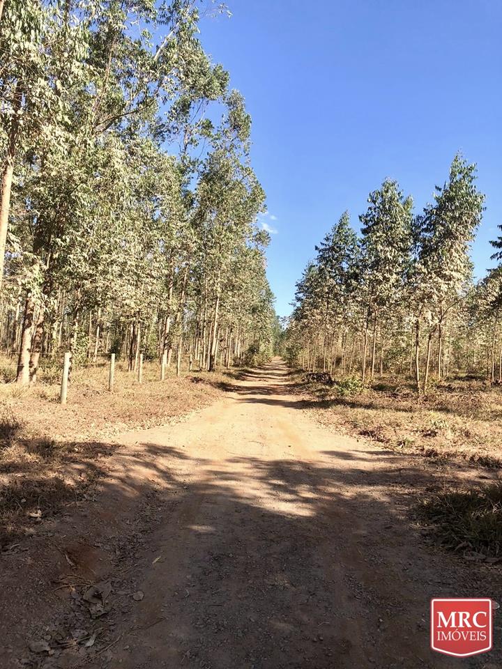 Região de Curralinho - OPORTUNIDADE - CHÁCARA ESCRITURADA - NATUREZA PRESERVADA