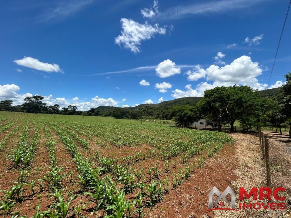 Região de Curralinho - 63.000m2 - MARGEANDO O RIO DO SAL - IDEAL PARA PLANTIO — foto 6