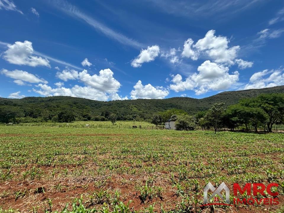 Região de Curralinho - 63.000m2 - MARGEANDO O RIO DO SAL - IDEAL PARA PLANTIO — foto 5