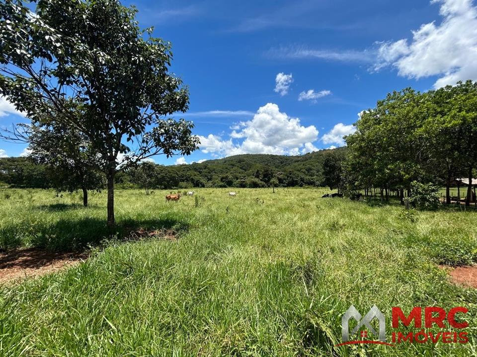 Região de Curralinho - 63.000m2 - MARGEANDO O RIO DO SAL - IDEAL PARA PLANTIO — foto 2