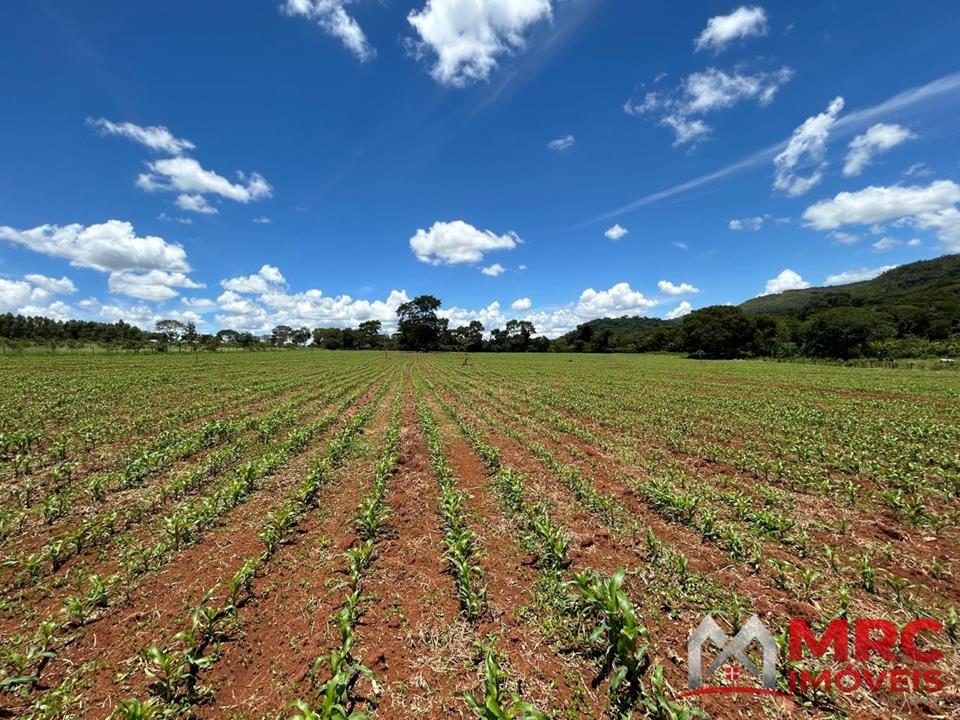 Região de Curralinho - 63.000m2 - MARGEANDO O RIO DO SAL - IDEAL PARA PLANTIO — foto 3
