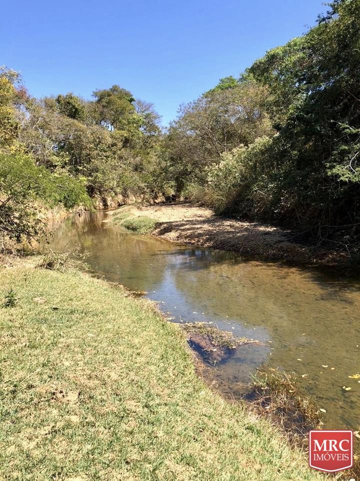 Região de Curralinho - 63.000m2 - MARGEANDO O RIO DO SAL - IDEAL PARA PLANTIO — foto 7