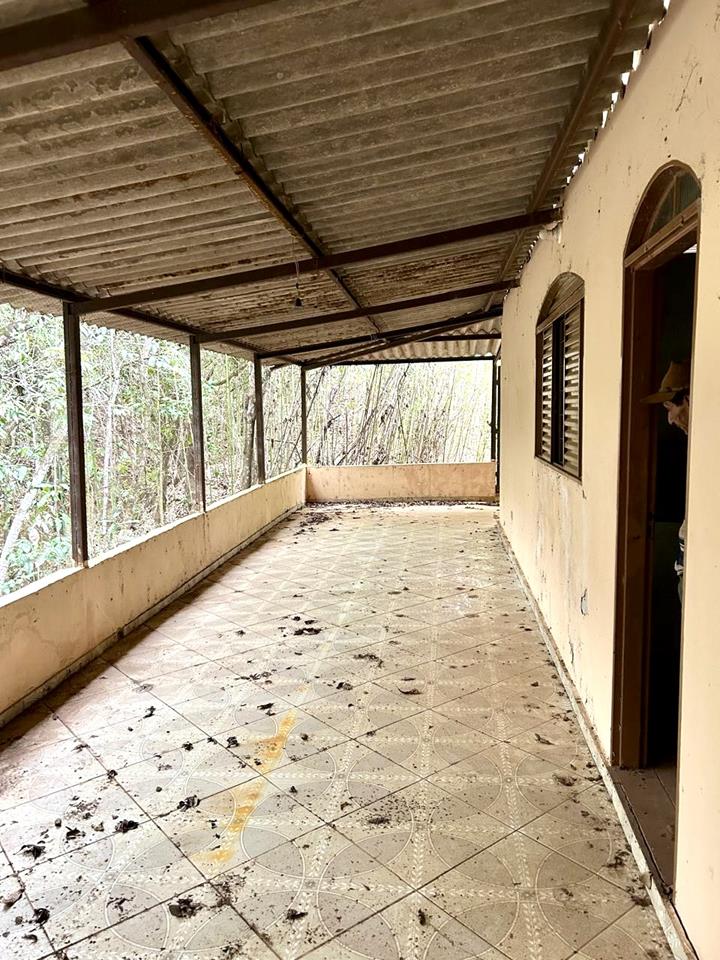 Núcleo Rural Almécegas  - CHACARÁ COM 6,1ha - CASA 250m2 - POMAR PRODUZINDO — foto 2