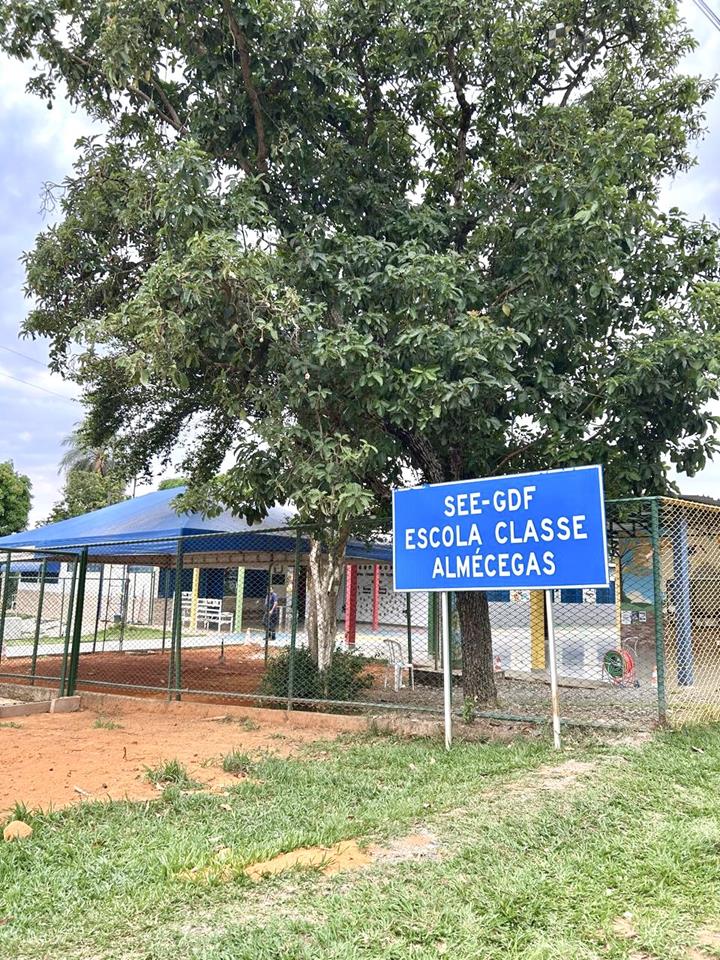 Núcleo Rural Almécegas  - CHACARÁ COM 6,1ha - CASA 250m2 - POMAR PRODUZINDO — foto 10