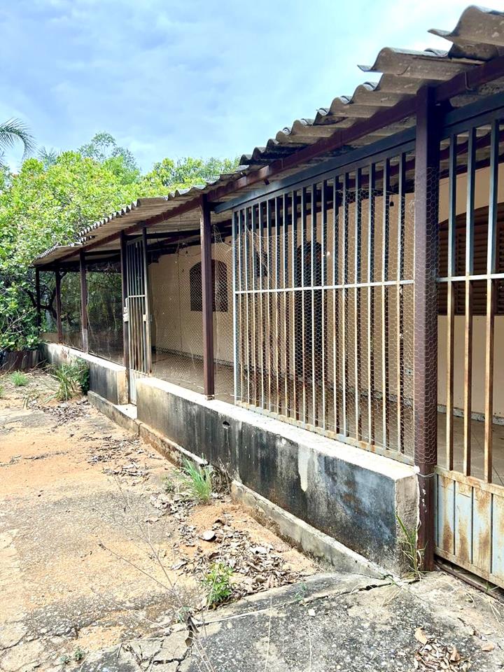 Núcleo Rural Almécegas  - CHACARÁ COM 6,1ha - CASA 250m2 - POMAR PRODUZINDO