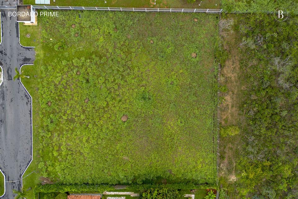 Terreno - Park Way, Brasília - Foto 4