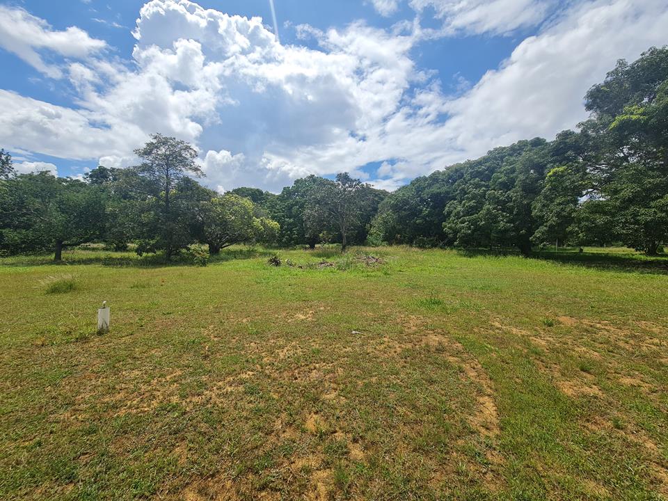 property-thumb