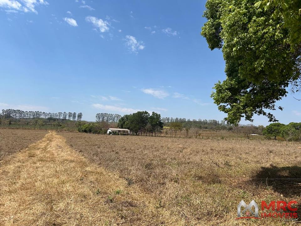 Divisa do DF com Padre Bernardo - FAZENDA COM 31,5 HECTARES – DF-206 | ÀS MARGENS DO RIO DO SAL — foto 7